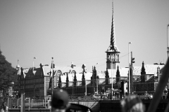 IMG_7023