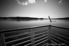 IMG_7440
