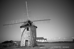 IMG_8085