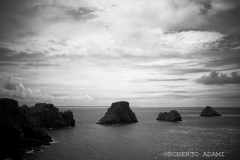 IMG_8304