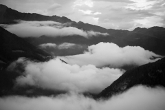 P7310876 1