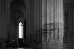IMG_7494